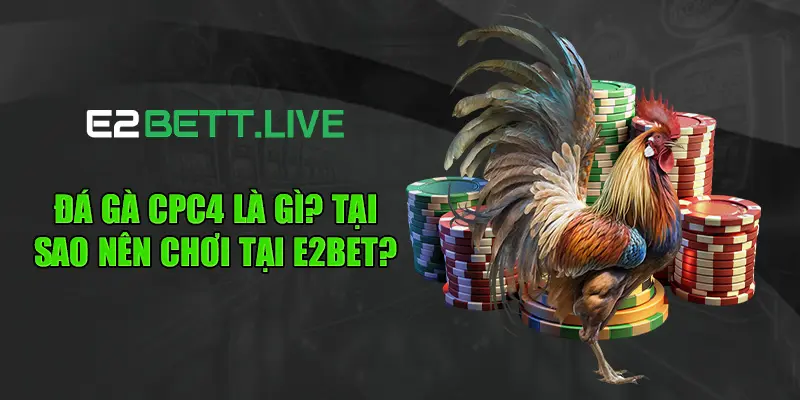 Đá gà CPC4 là gì? Tại sao nên chơi tại E2BET?