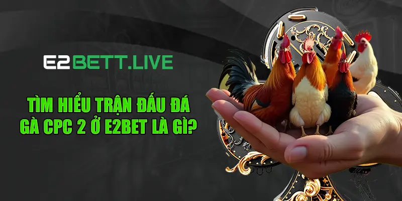 Tìm hiểu trận đấu đá gà CPC 2 ở E2BET là gì?