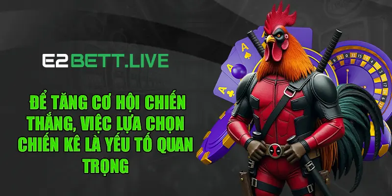 Để tăng cơ hội chiến thắng, việc lựa chọn chiến kê là yếu tố quan trọng
