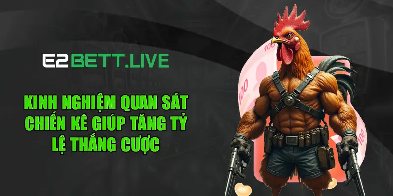 Kinh nghiệm quan sát chiến kê giúp tăng tỷ lệ thắng cược